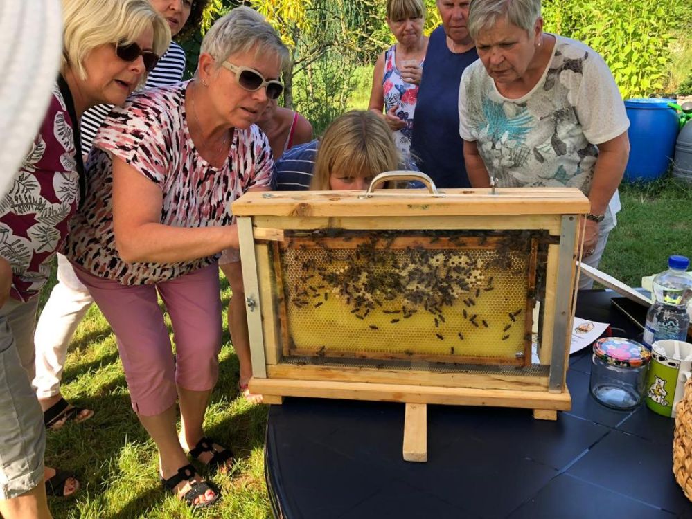 Bienenschautafel