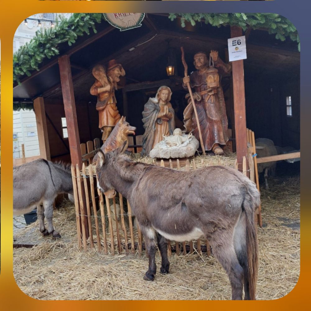 251213 Weihnachtsmarkt 4
