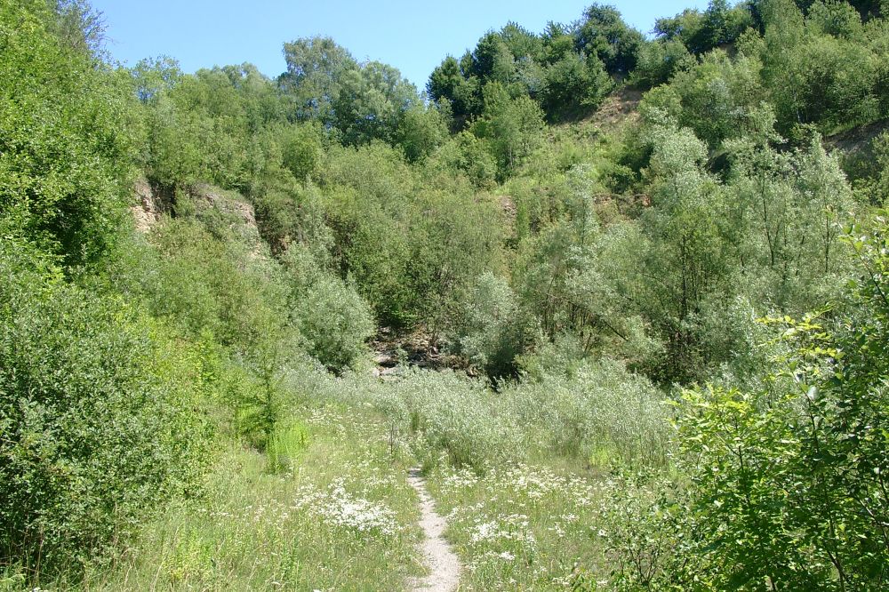 Stillgelegter Steinbruch