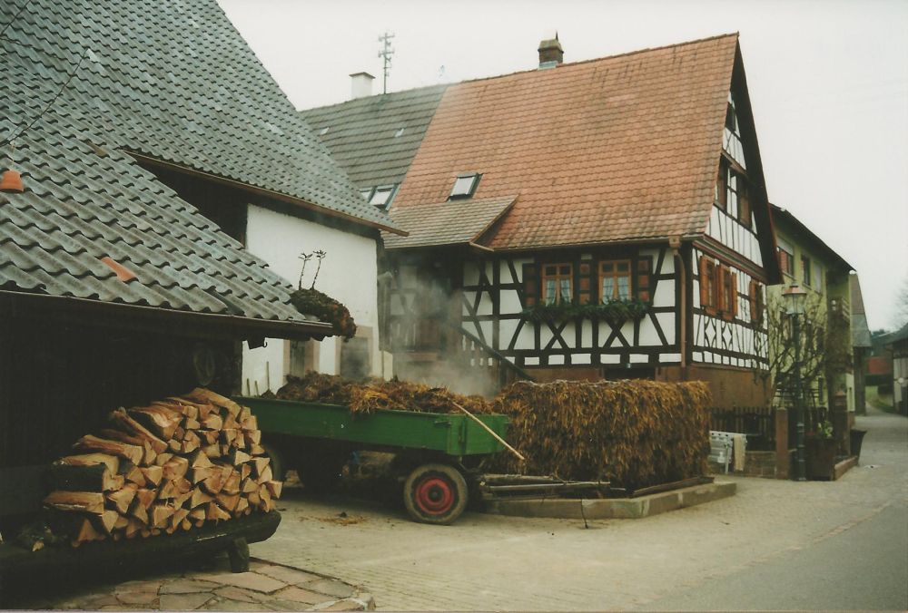 Misthaufen