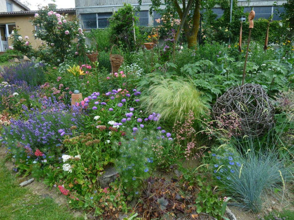 Garten Frau Hauk 11.6.14 023