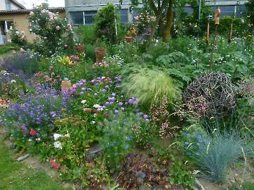 Garten Frau Hauk 11.6.14 023