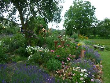 Garten Frau Hauk 11.6.14 040
