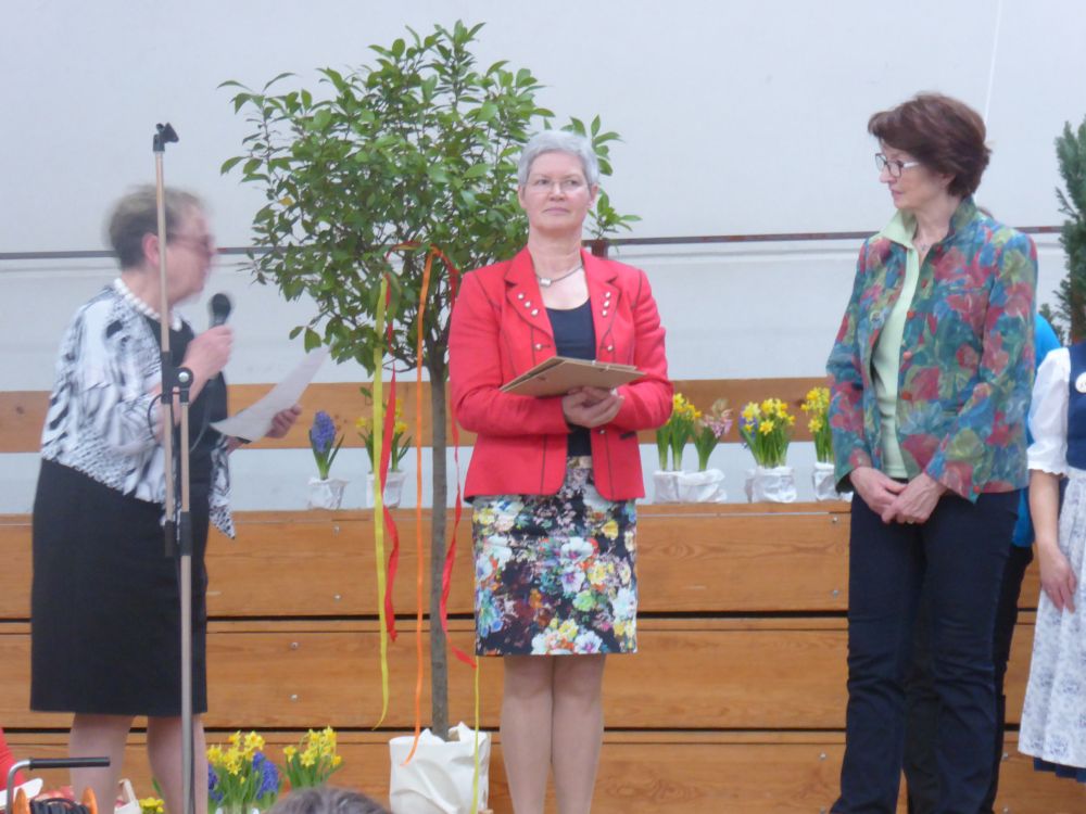 Landfrauentag 2015 in dossenheim 039