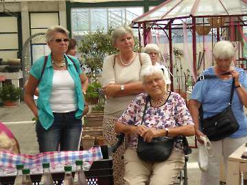 Weinsberger Rosenkulturen 2015